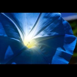 Meet your Posher, Jody